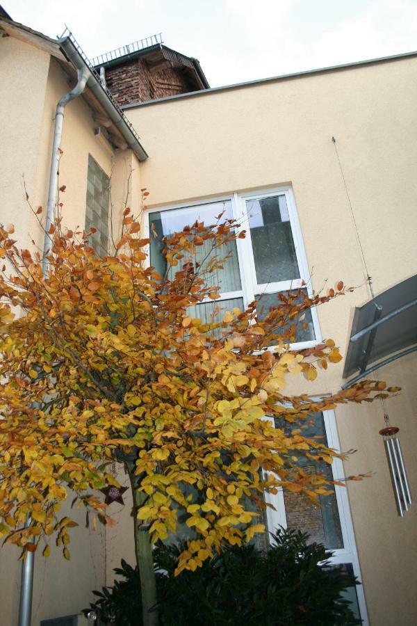 Apartpeterstor Montabaur Exterior foto